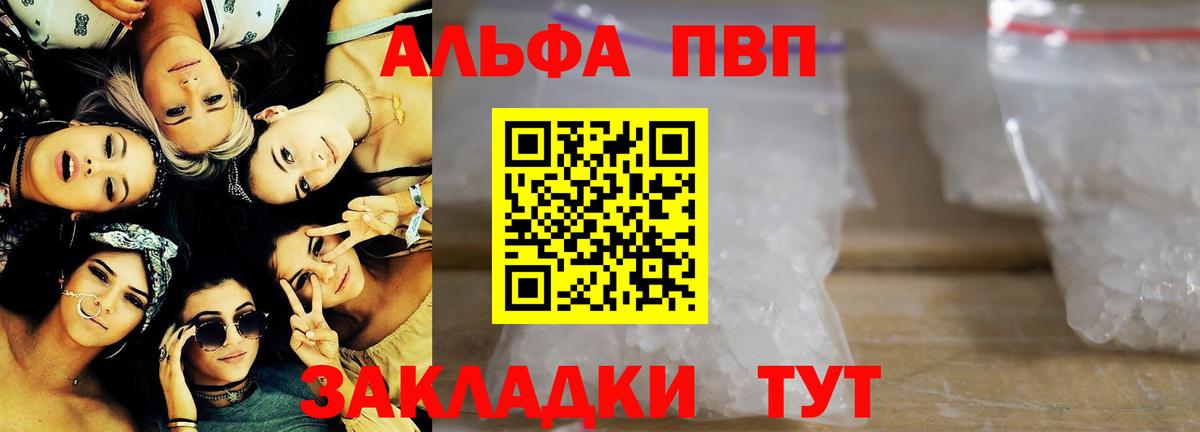 Альфа ПВП СК КРИС Тосно
