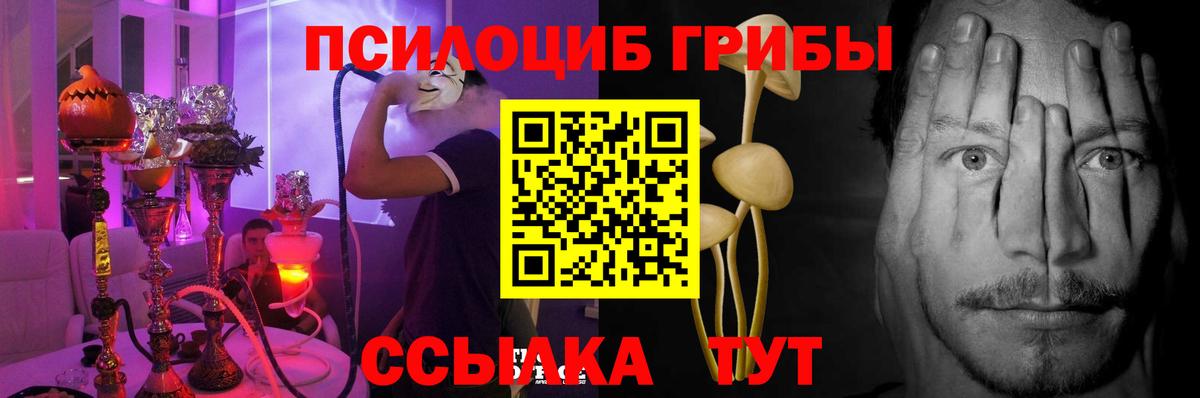 Тосно  что такое наркотик  Вход с VPN  Псилоцибиновые грибы Magic Shrooms 